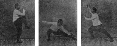 Yang Chenfu, snake style