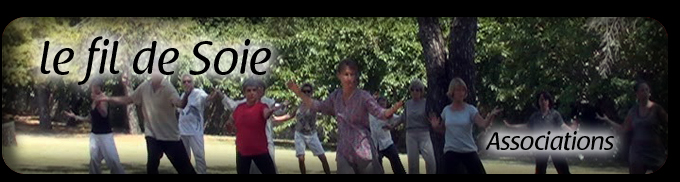 Tai chi à Nimes, Alès, Uzès "Snake Style"