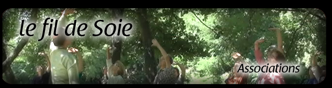 Qi Gong , Zhi Neng Qi Gong
