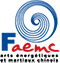 logo-faemc-60