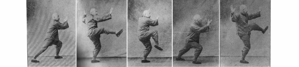 Chen Weiming ( postures)