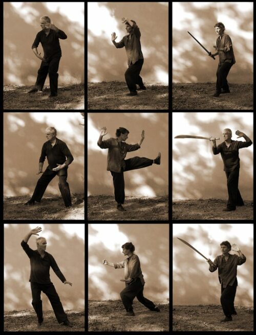 Postures du Style Yang
