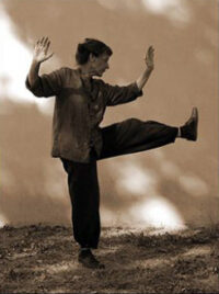 Laurence Linares Prof de Tai chi Yang