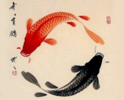 Poissons Yin Yang 