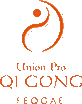 logo-faemc-60