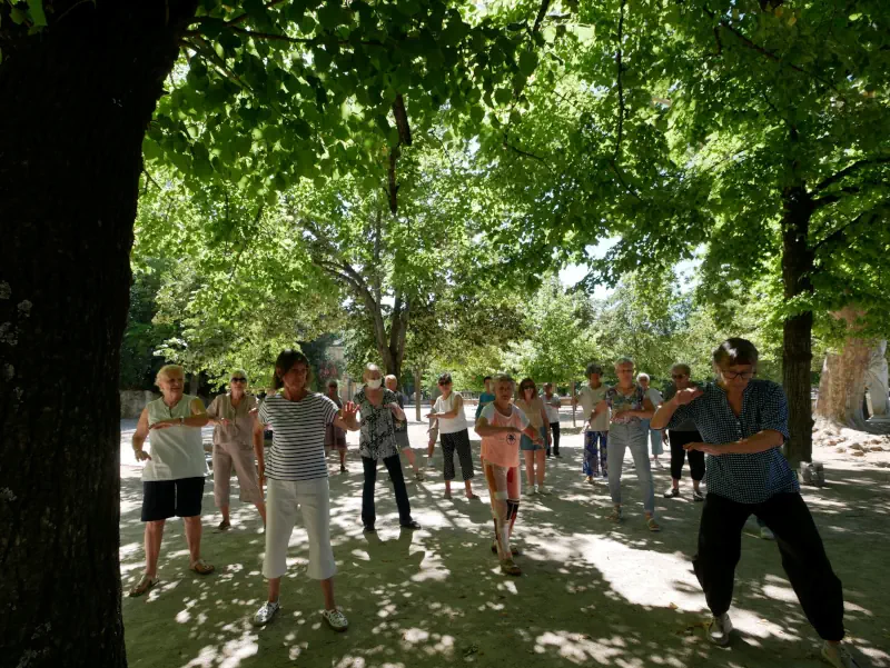 Qi gong avec les seniors de Nîmes