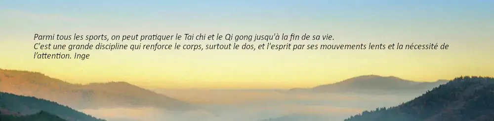 témoignage pratiquant de Tai chi
