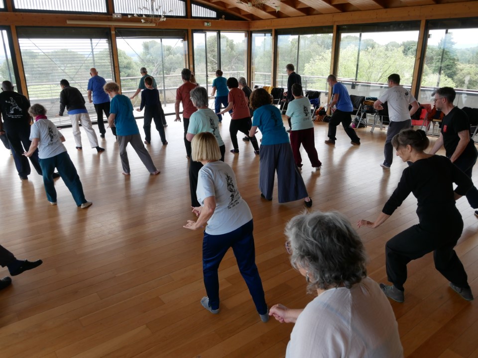 Pratique du Tai Chi Style Yang